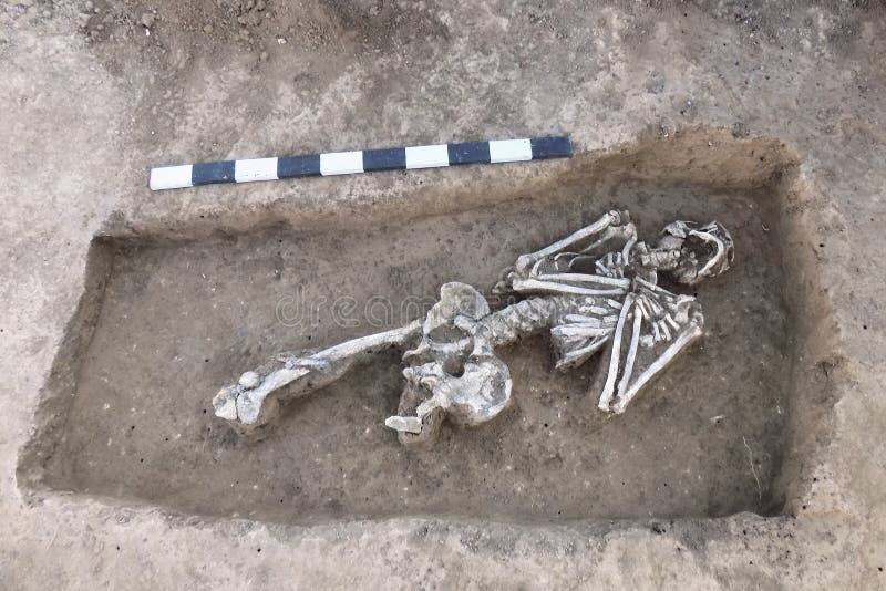 Excavaciones arqueológicas Huesos humanos de los restos del esqueleto en la tierra, con el tablón de la medida Proceso picador re imagen de archivo Excavaciones arqueológicas Huesos humanos de los restos del esqueleto en la tierra, con el tablón de la medida Proceso picador re imagen de archivo