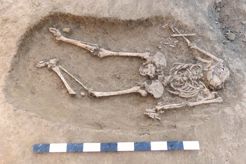 excavation archéologique Humains reste les os, le squelette et le crâne dans la terre, avec de petits objets façonnés de fondatio image stock excavation archéologique Humains reste les os, le squelette et le crâne dans la terre, avec de petits objets façonnés de fondatio image stock