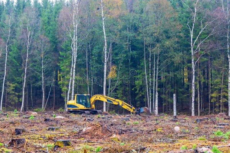 Excavator on a clearcut digging a ditch by the forest edge stock photo