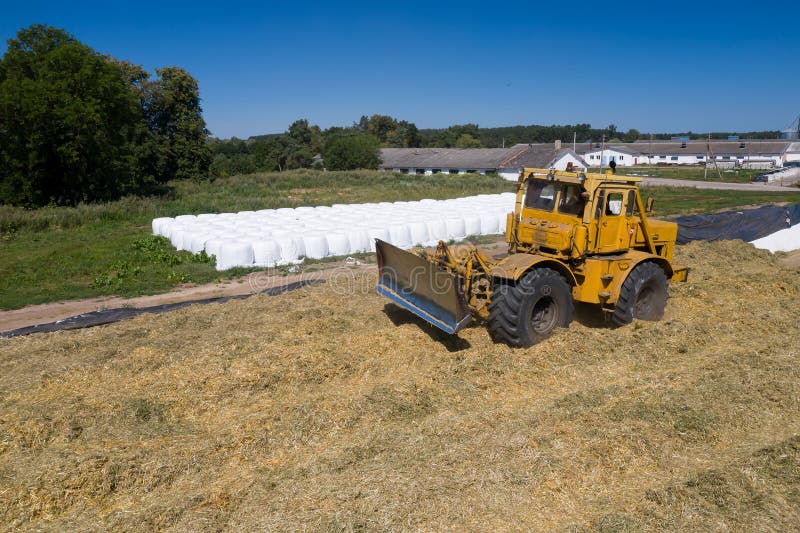 Excavator working on a pile of silage in the farm royalty free stock photography
