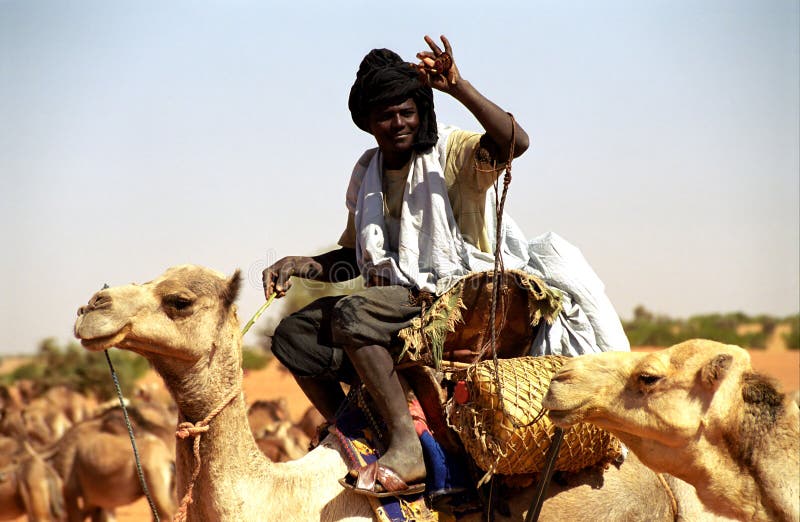 Excitador Do Camelo Do Tuareg, Mauritânia Imagem de Stock Editorial - Imagem de africano, excitador: 15687624