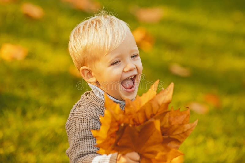 Excited child playing with leaves in autumn park. Smiling blonde kid hold autumn leafs in the nature. Smile happy kids