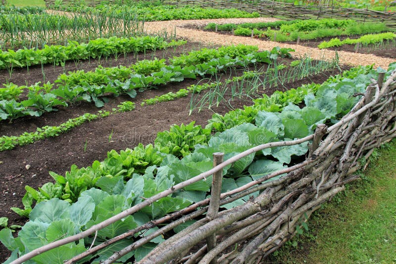 Exemple de ferme au jardin de table photo libre de droits Exemple de ferme au jardin de table photo libre de droits