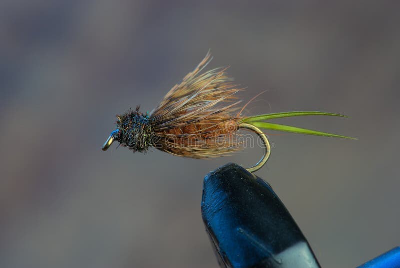 Ami Da Pesca Alla Carpa Con Durezza E Potere Di Penetrazione Migliorati - Foto 3
