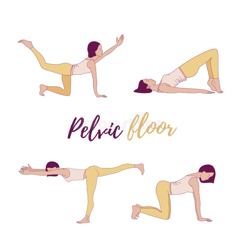 Exercises To Strengthen The Muscles Of The Vagina And Pelvic Floor