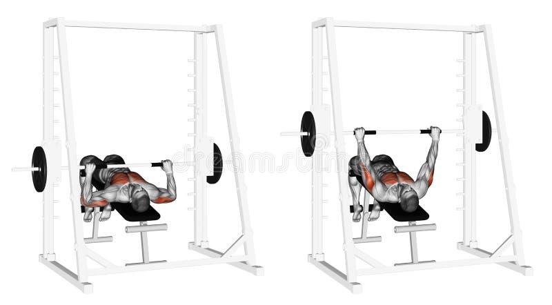 Exercising Decline Smith Machine Bench Press Stock
