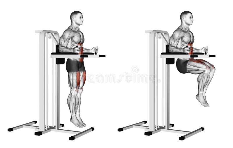 Exercising. Knee Raise on Parallel Bars Stock Illustration