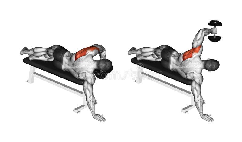 Exercising. Lead Hand With A Dumbbell Rear Deltoid Stock ...
