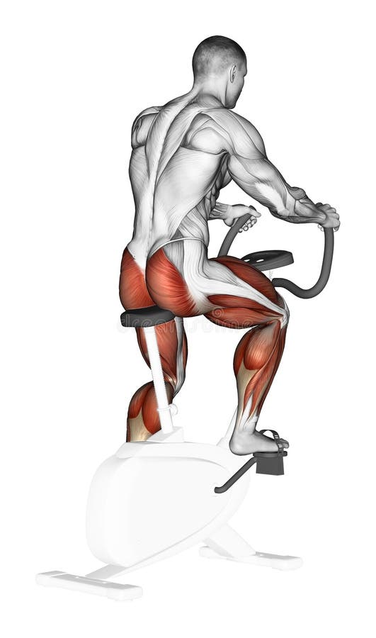 exercise bike bodybuilding