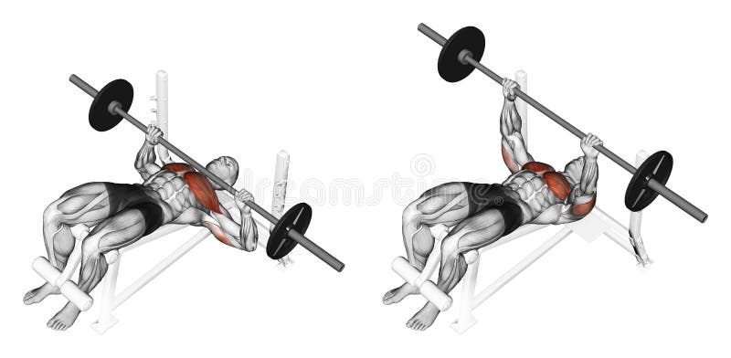 Exercising Press Of A Bar Lying On A Bench With Stock