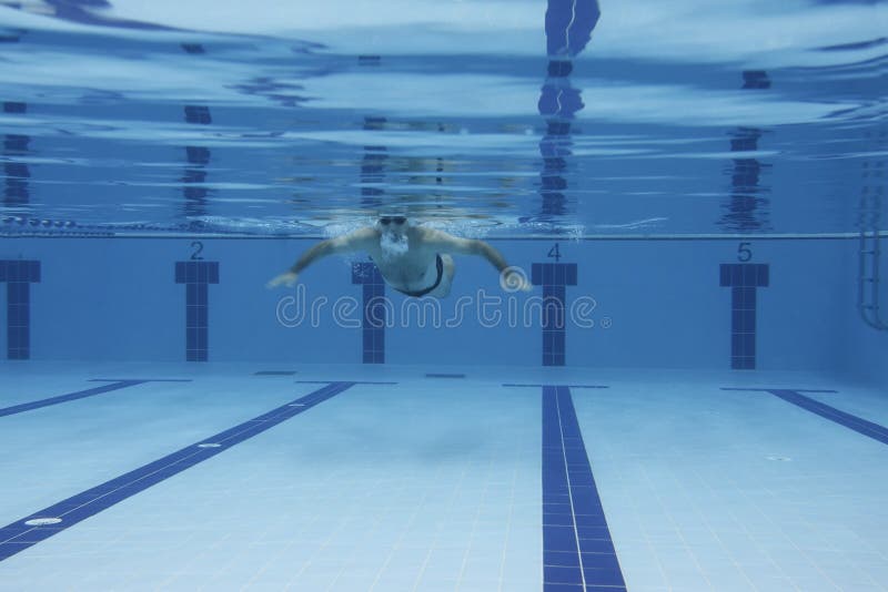 Swimmers Diving into Swimming Pool Editorial Photo Image of referees