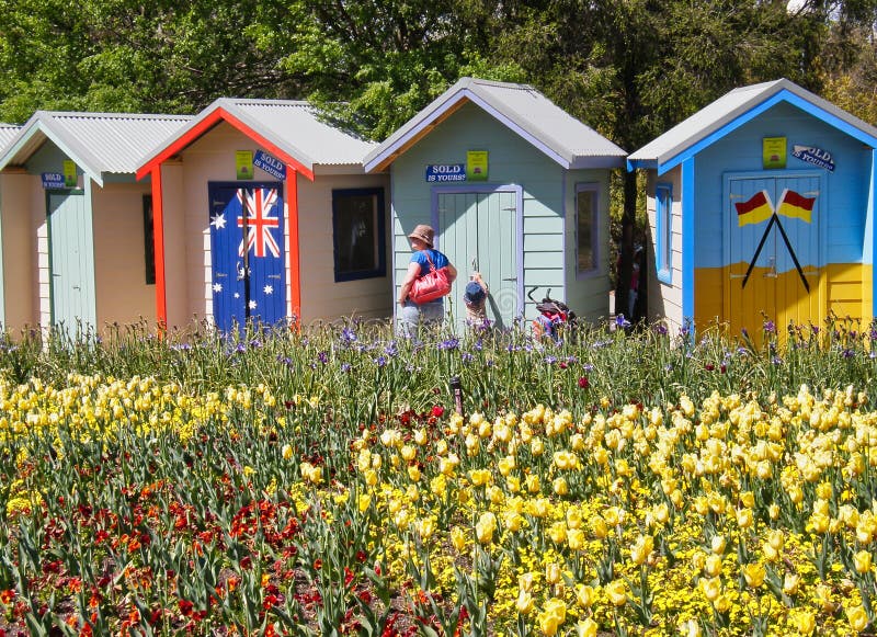 Exhibición al aire libre colorida de la flor; Tema australiano del verano imágenes de archivo libres de regalías Exhibición al aire libre colorida de la flor; Tema australiano del verano imágenes de archivo libres de regalías