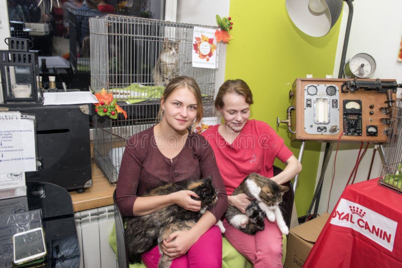 Exhibition and distribution of cats from a shelter