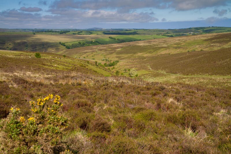 The Exmoor National Park in Devon, England