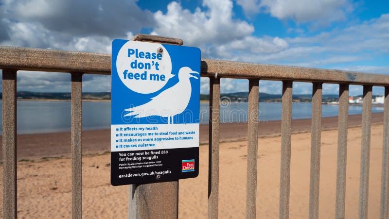 Exmouth, UK - August 03 2020: Sign on the seafront warning not to feed the seagulls
