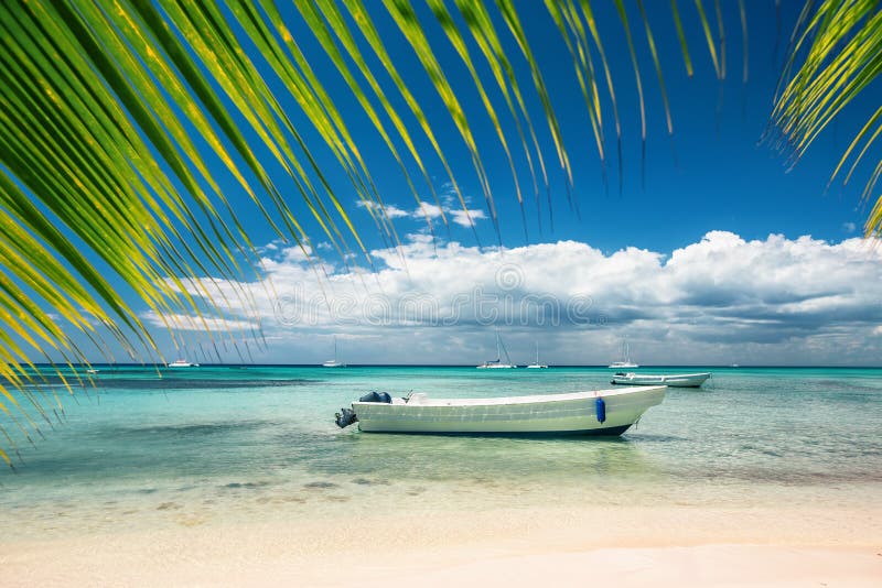 Exotic Beach in Dominican Republic, Punta Cana