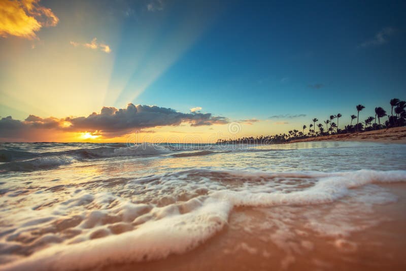 Exotic Beach in Dominican Republic, Punta Cana, sunrise shot