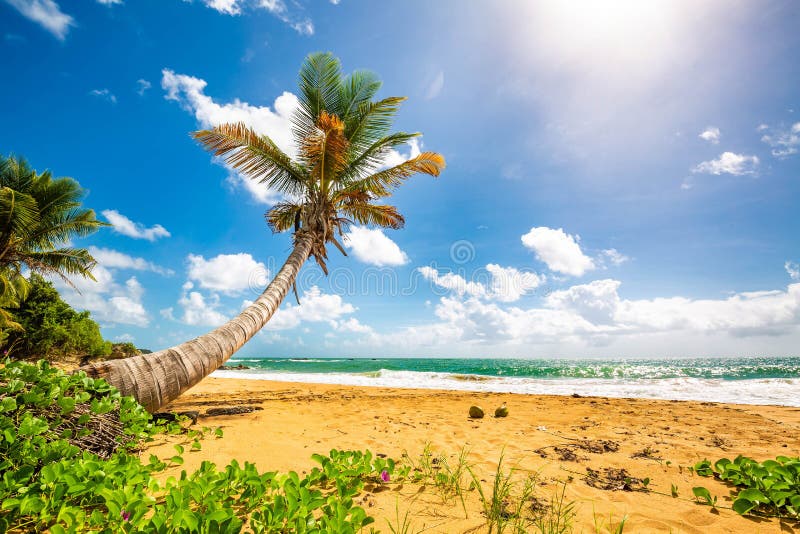 Exotic carribean shore of Puerto Rico Flamenco beach stock image Exotic carribean shore of Puerto Rico Flamenco beach stock image