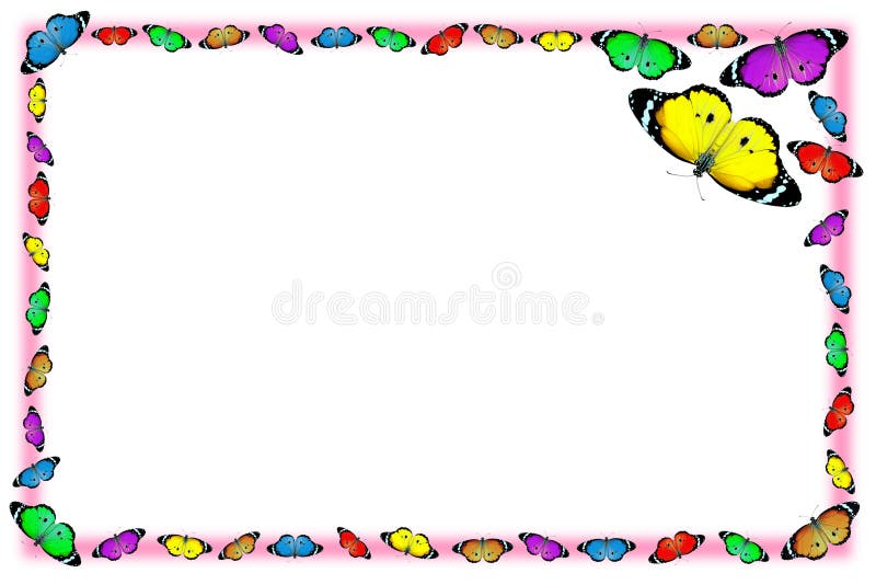 Exotic color butterfly frame