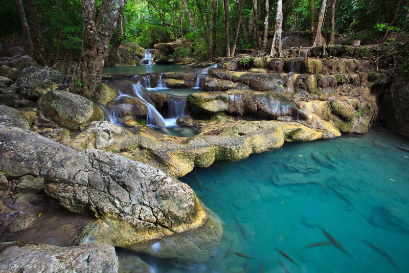 Exotic deep forest waterfall in Thailand