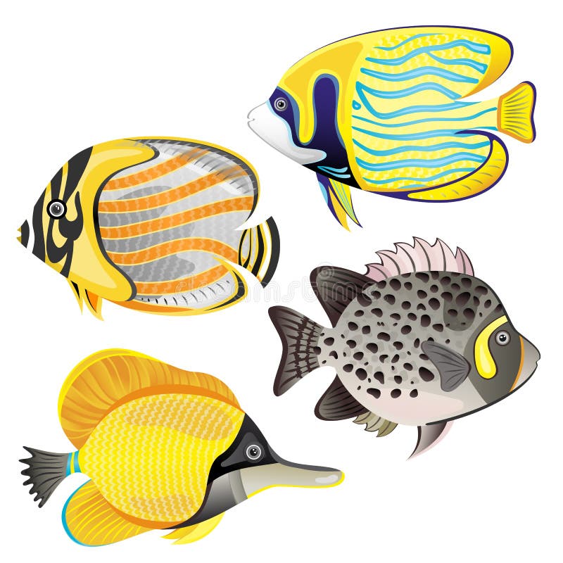 Exotic fish set