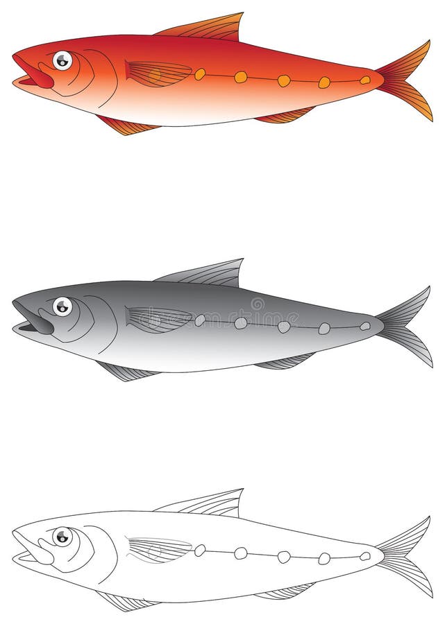 Exotic fish vector illustration vector illustration