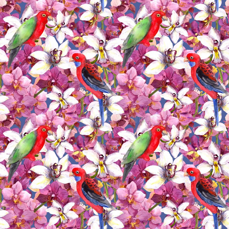 Exotic floral pattern - parrot bird, blooming orchid flowers