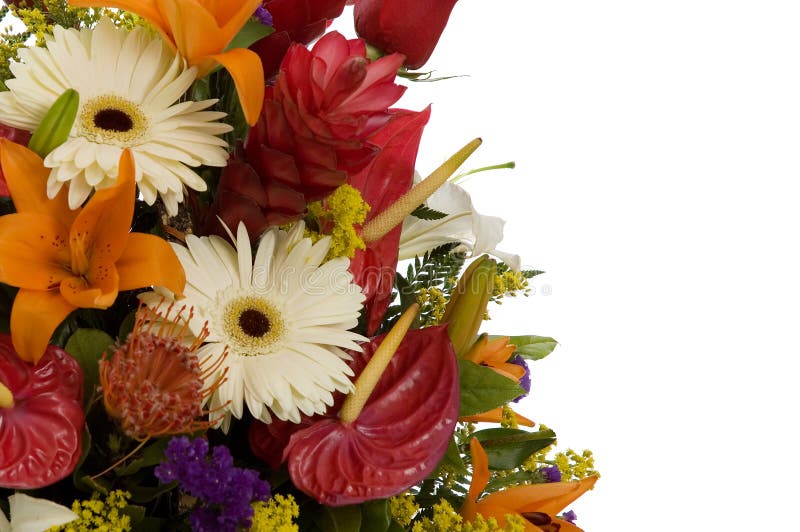 Exotic flowers arrangment II