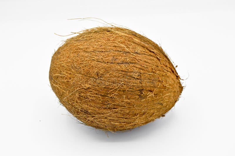 Exotic Fruit Coconut with Brown Surface. Stock Image Image of eatable