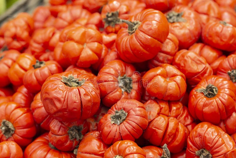 Lot of lot of vibrant green scarlet eggplant vegetable on top of each other  against a black background. Graphic minimalist image of food. Stock Photo