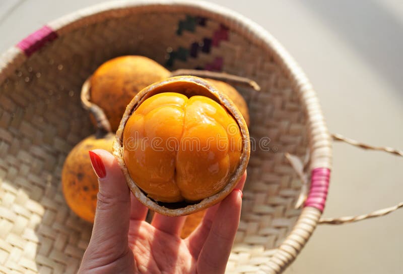 Exotic fruits in africa stock image. Image of cake, delicious - 133763933