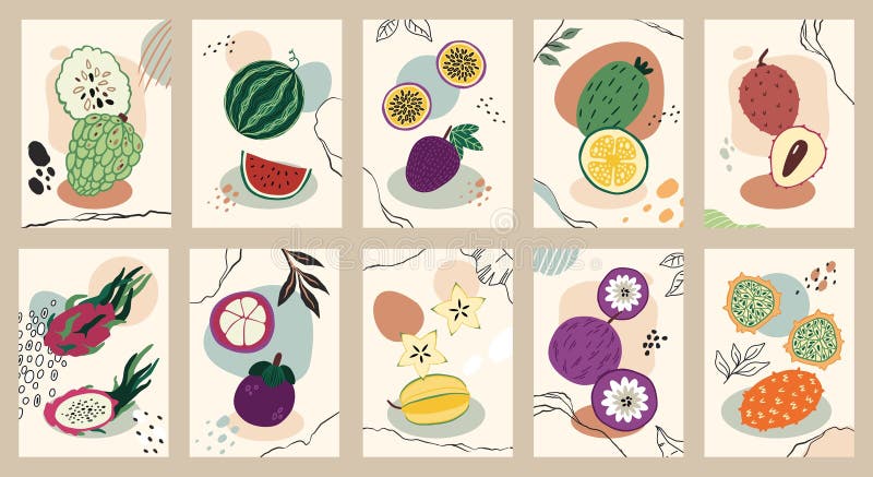 Afișe exotice pentru fructe. pepene verde colorat din fructe cu coajă tare și mangustină. cartele alimentare întregi și jumătate i stock illustration