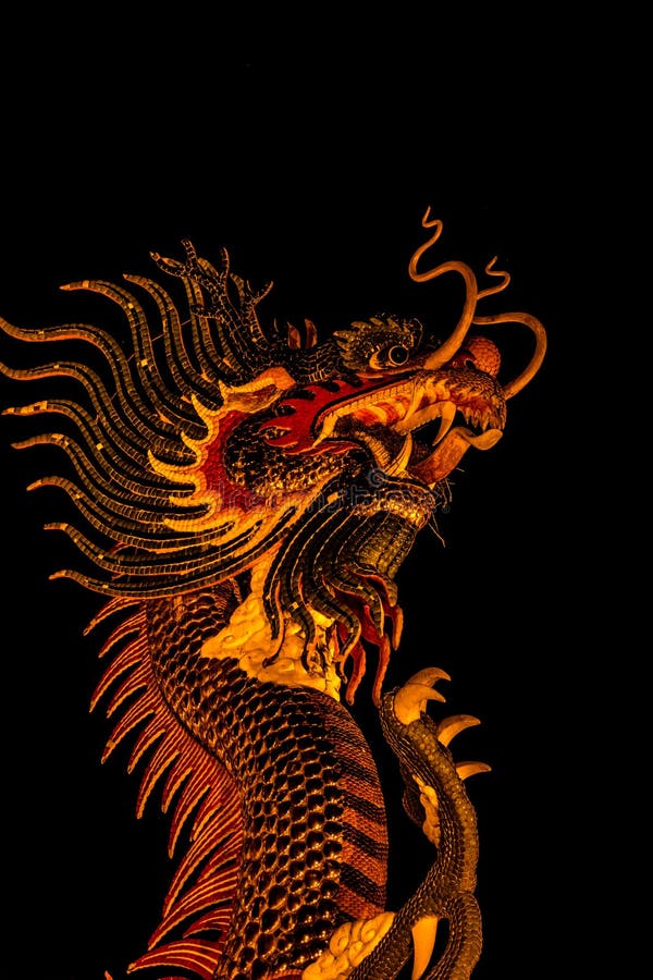 Exotic Gold Dragon on Black Sky Background Stock Image Image of