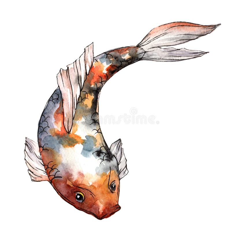Imagination of goldfish tattoo Design concept.:: tasmeemME.com