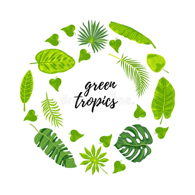 Jungle Leaves Stock Illustrations – 154,058 Jungle Leaves Stock Illustrations, Vectors & Clipart - Dreamstime Jungle Leaves Stock Illustrations – 154,058 Jungle Leaves Stock Illustrations, Vectors & Clipart - Dreamstime