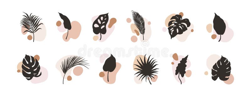 Exotic leaf and abstract shape patterns, floral set. Tropical leaves and geometric elements in modern minimal style stock illustration