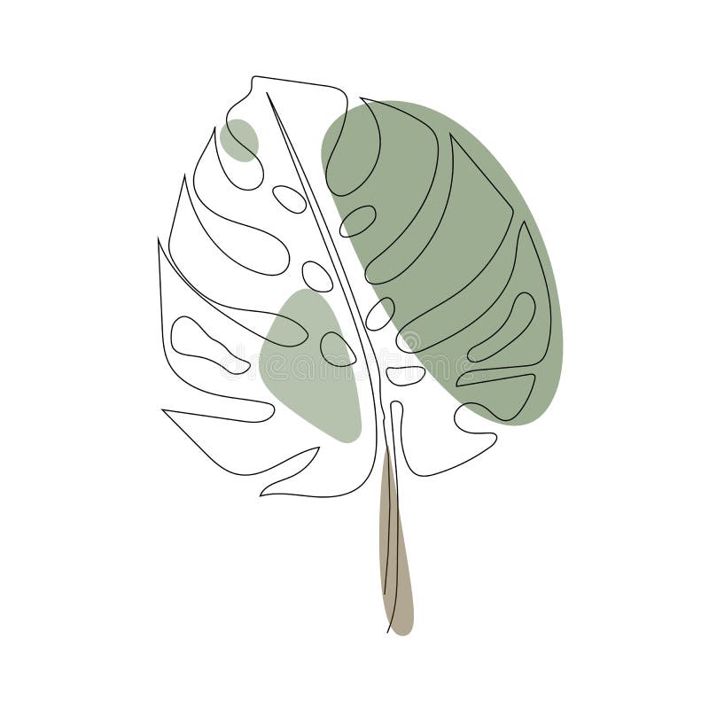 Exotic monstera continuous one line drawing summer tropical leaf hand drawn on white background minimalist design vector illustration Exotic monstera continuous one line drawing summer tropical leaf hand drawn on white background minimalist design vector illustration