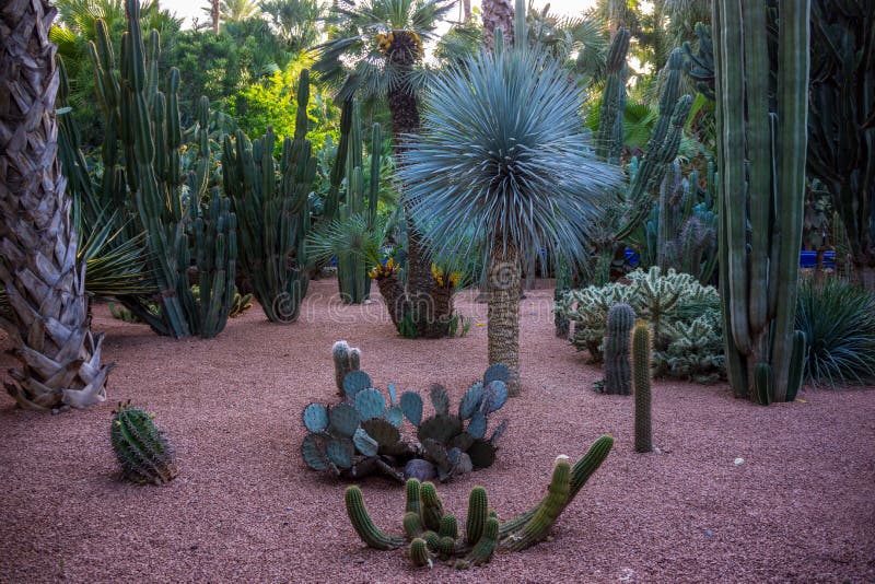 exotic plants in botanical garden