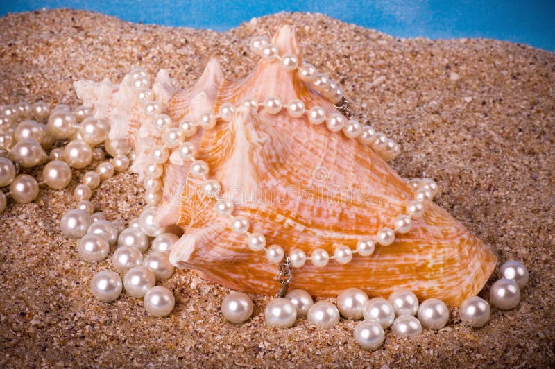Exotic Shell And Pearls On Sand Stock Photos Image 23955603