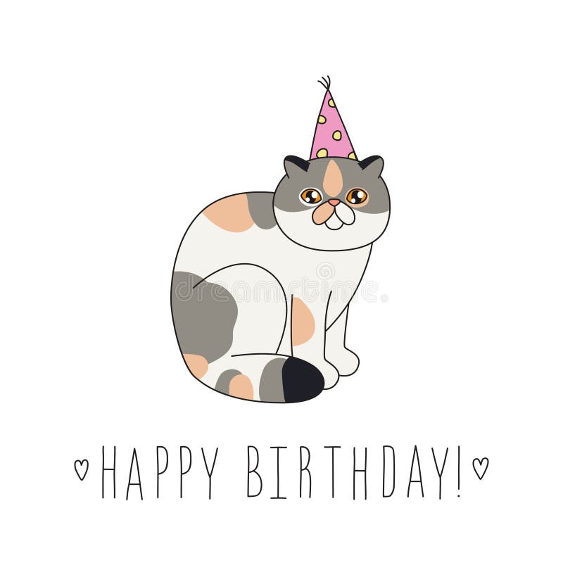 Exotic Shorthair Cat  Happy  Birthday  Doodle Greeting Card 