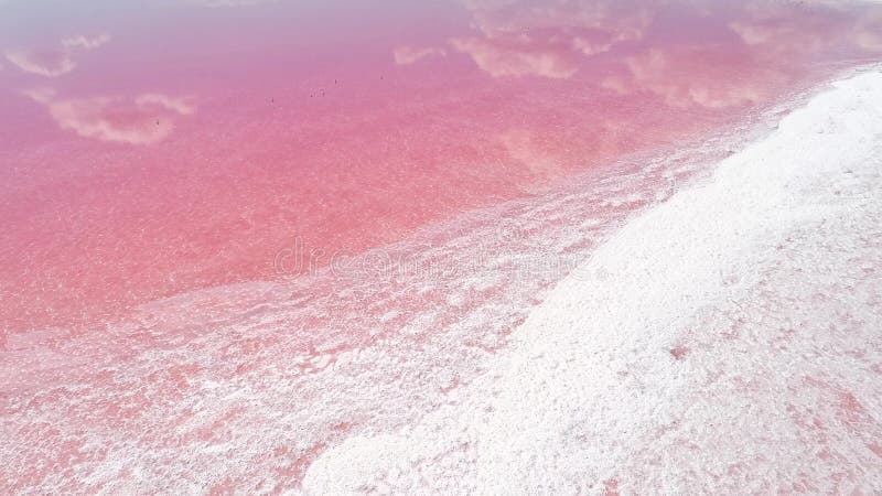 Exotic spa resort nature beauty pink salt lake