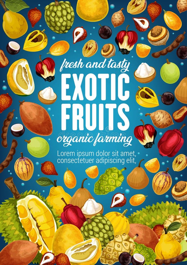 Exotic Tropic Fruits Tropical Farm Market Poster Stock Vector