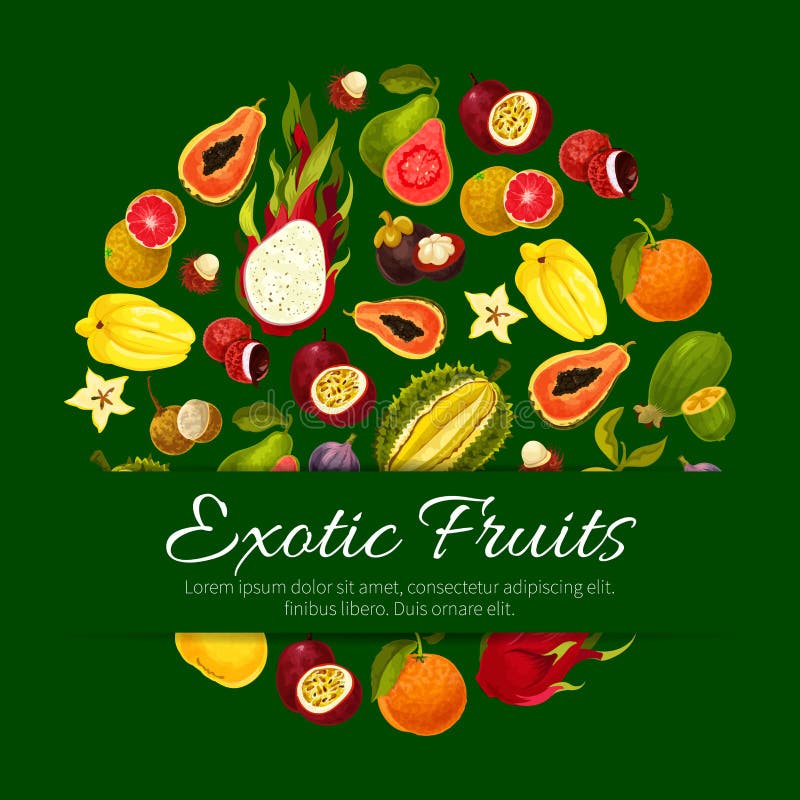 Background With Exotic Tropical Fruits Illustration Of Asian Plants
