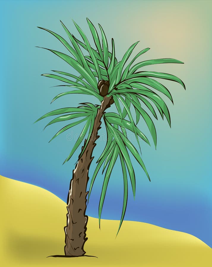 Palms Tree. Vector Illustration. Stock Vector - Illustration of