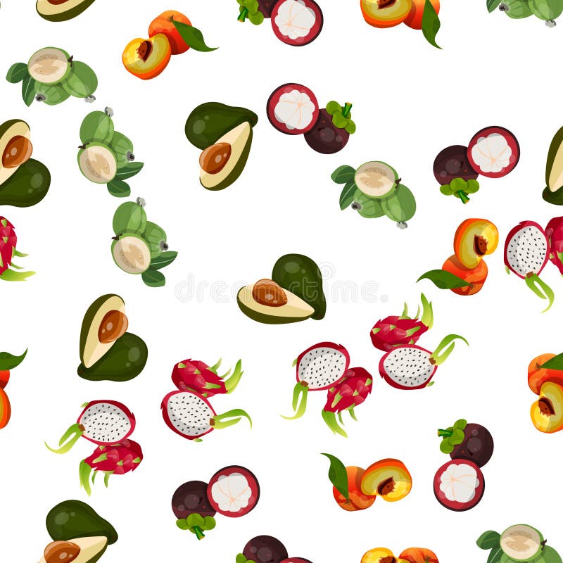 Exotisch tropisch fruit vector illustratie Exotisch tropisch fruit vector illustratie