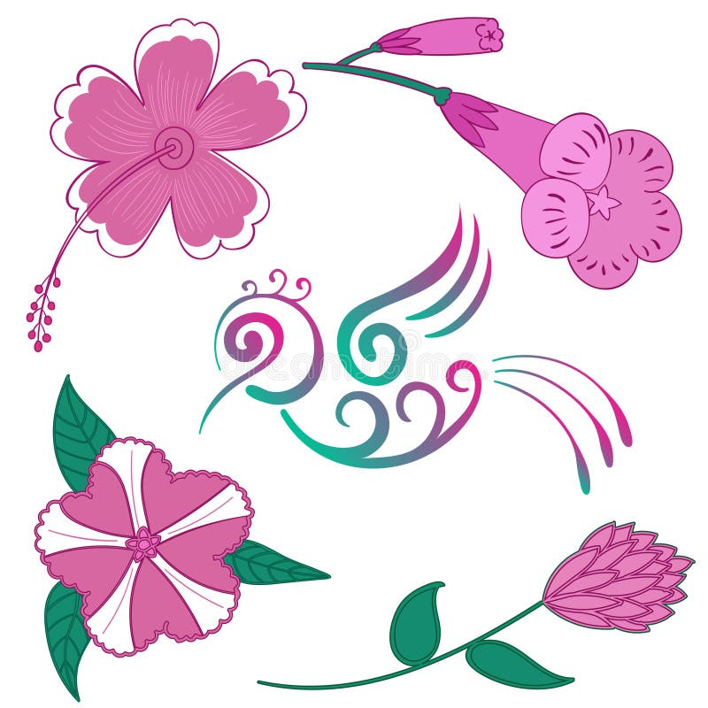 Exotische Blumen des Kolibriblumen-Vektors und Vogel Hibiscuse blühen tropischen Vogel Hibiscus-Hawaiis stock abbildung Exotische Blumen des Kolibriblumen-Vektors und Vogel Hibiscuse blühen tropischen Vogel Hibiscus-Hawaiis stock abbildung