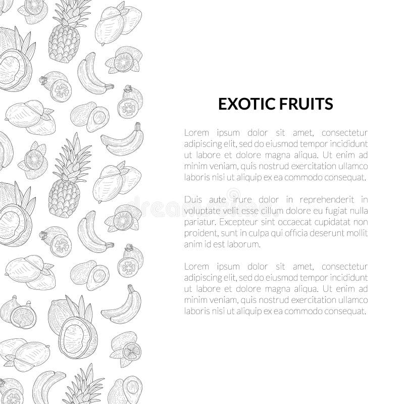 Exotische Frucht-Fahnen-Schablone mit Platz für Text, tropische Betriebseinfarbige Handgezogene Vektor-Illustration lizenzfreie abbildung Exotische Frucht-Fahnen-Schablone mit Platz für Text, tropische Betriebseinfarbige Handgezogene Vektor-Illustration lizenzfreie abbildung