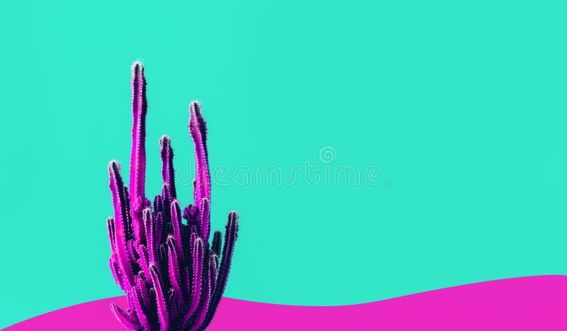 Exotische kleur van cactus op kleurrijke achtergrond royalty-vrije stock foto Exotische kleur van cactus op kleurrijke achtergrond royalty-vrije stock foto