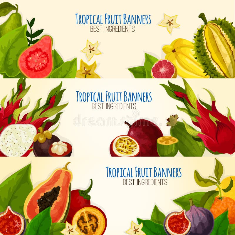 Exotische tropische die fruitbanner voor voedselontwerp wordt geplaatst stock illustratie Exotische tropische die fruitbanner voor voedselontwerp wordt geplaatst stock illustratie