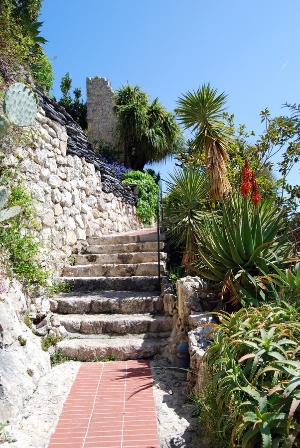 Exotische tuin royalty-vrije stock afbeelding